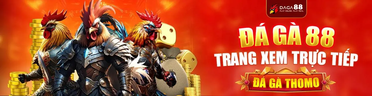 Đá Gà Trực Tuyến Kingfun