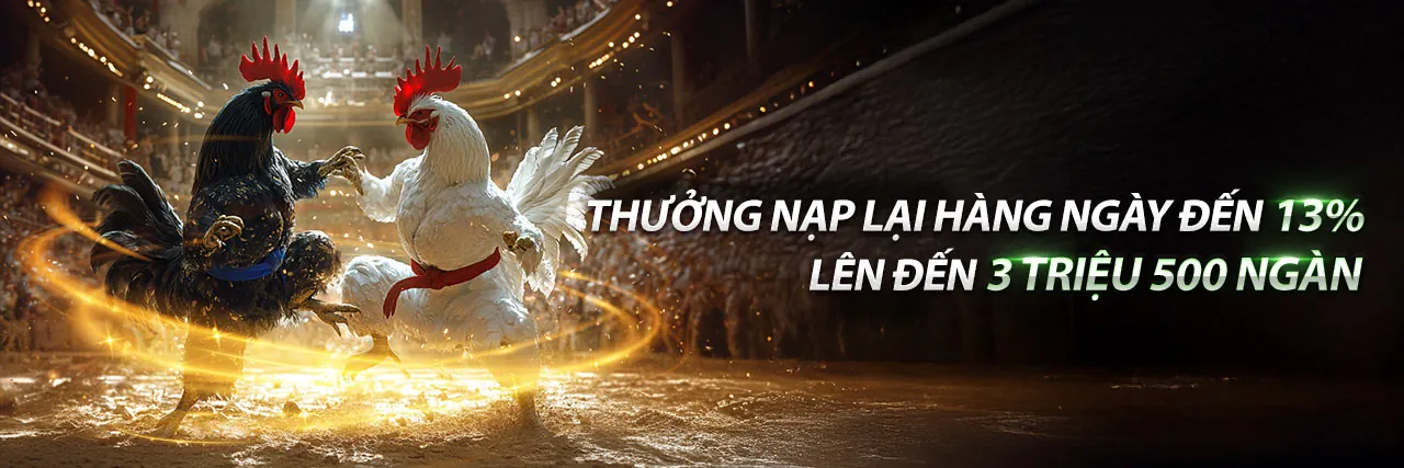 Sân vận động rực rỡ, biểu tượng cá cược thể thao tại Kingfun Trang Chủ Chính Thức