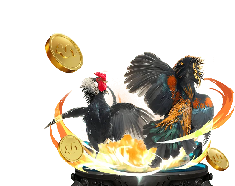Điều Khoản Dịch Vụ kingfun